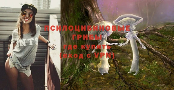 МДМА Белокуриха