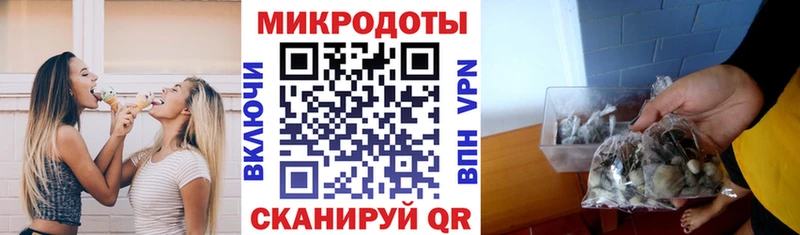 ОМГ ОМГ онион Яблоновский Галлюциногенные грибы мицелий